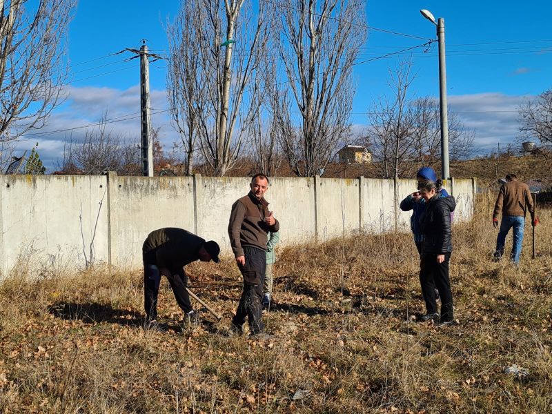 Primăria municipiului Piatra-Neamț: campanie de plantare și întreținere în zona Vânător, ZCH NEWS - sursa ta de informații