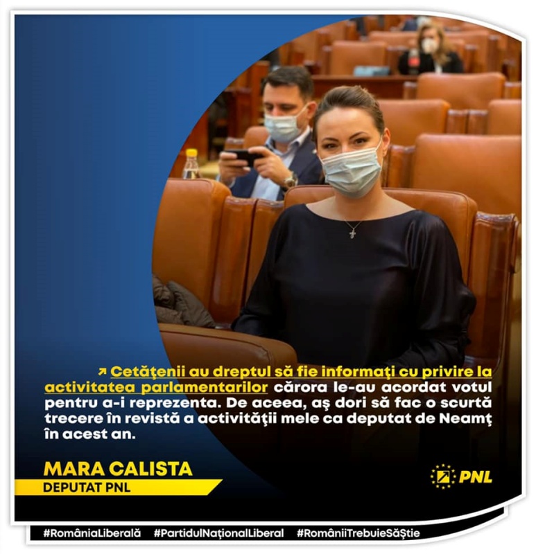 Mara Calista, deputat PNL: raport de activitate