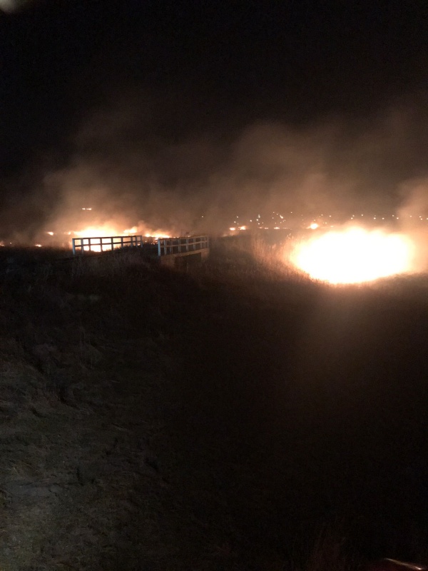 FOTO. Un incendiu de vegetație a pus în pericol trenul Dorohoi-Iași, ZCH NEWS - sursa ta de informații