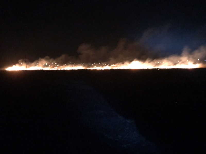 FOTO. Un incendiu de vegetație a pus în pericol trenul Dorohoi-Iași, ZCH NEWS - sursa ta de informații