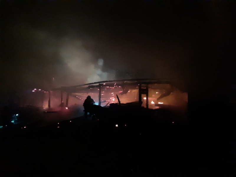FOTO. Patru persoane au suferit arsuri încercând să salveze animale din flăcări, ZCH NEWS - sursa ta de informații