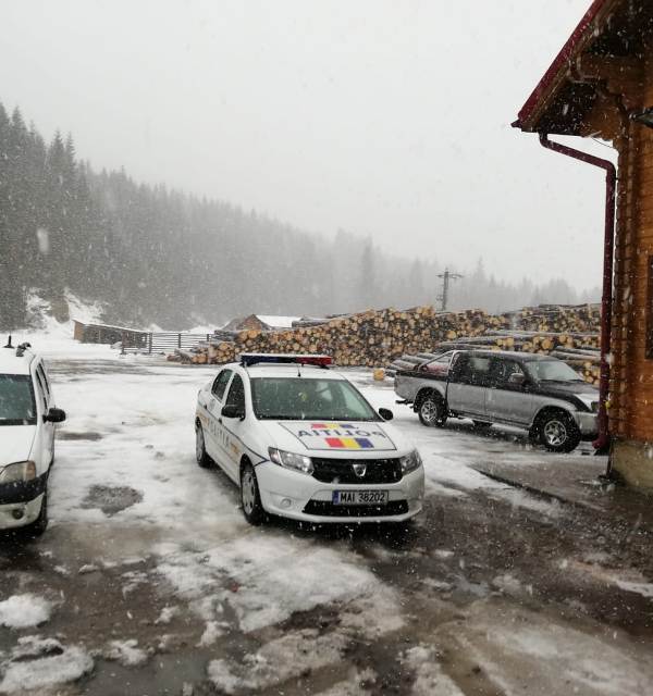 Peste 200 mc lemn confiscat și 3 percheziții în „Scutul Pădurii”
