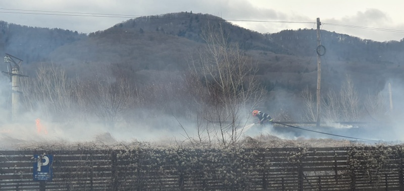Foto. Piatra Neamț: Incendiu de vegetație în Mărăței, la calea ferată, ZCH NEWS - sursa ta de informații