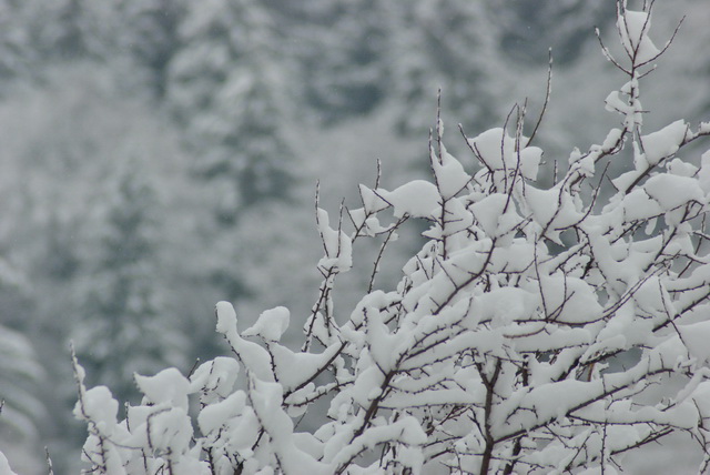 METEO Se anunţă ninsori în week-end, ZCH NEWS - sursa ta de informații