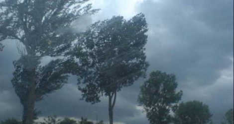 Vântul puternic a lăsat 318 săteni din Ruseni fără curent electric, ZCH NEWS - sursa ta de informații
