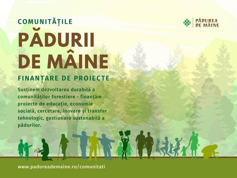 Fundația Pădurea de Mâine anunță lansarea programului de finanțări nerambursabile Comunitățile Pădurii de Mâine