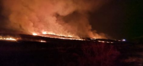 Peste 2.000 de ha cu vegetație uscată afectate de incendii în Moldova, ZCH NEWS - sursa ta de informații
