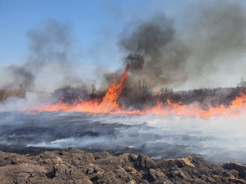 40 de ha de mirişte au ars ieri în Neamţ, alte 130 ha în Botoşani, ZCH NEWS - sursa ta de informații