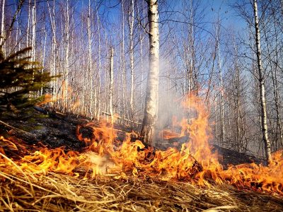 100 de ha afectate într-un singur incendiu de vegetație uscată, ZCH NEWS - sursa ta de informații