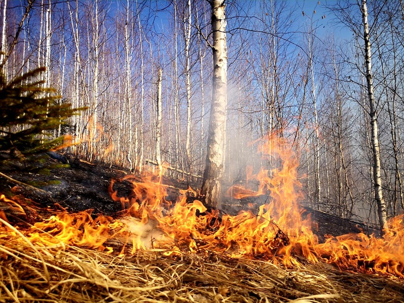Un bărbat a murit, o femeie are arsuri în urma incendiilor de vegetaţie uscată, ZCH NEWS - sursa ta de informații