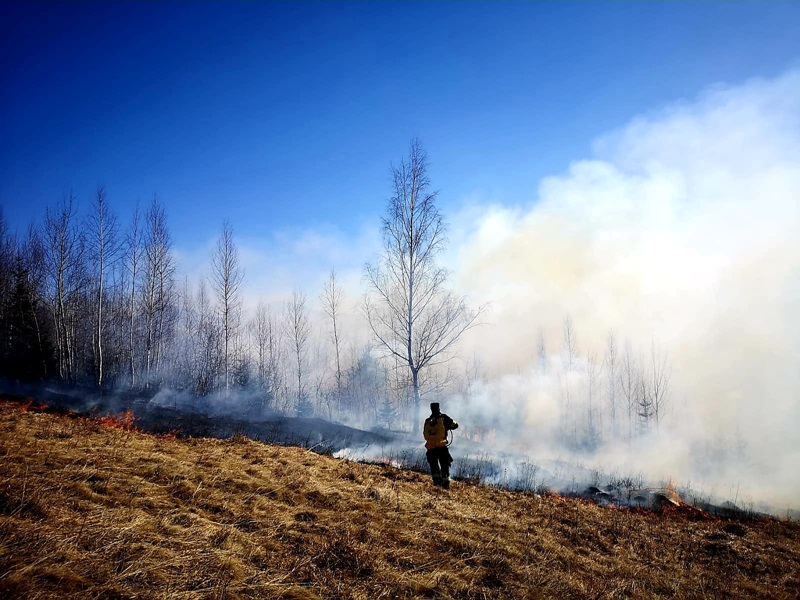 Un bărbat a murit, o femeie are arsuri în urma incendiilor de vegetaţie uscată, ZCH NEWS - sursa ta de informații