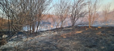 77 de incendii de vegetaţie uscată au pârjolit 250 de ha în Neamţ, ZCH NEWS - sursa ta de informații