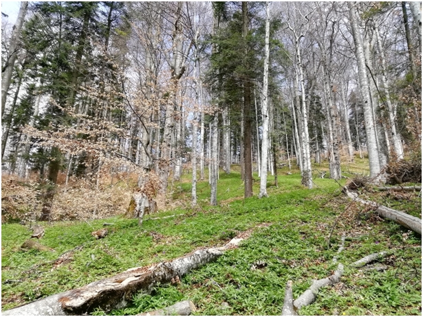 Dezgheț pe piața muncii – 691 de joburi în Neamț