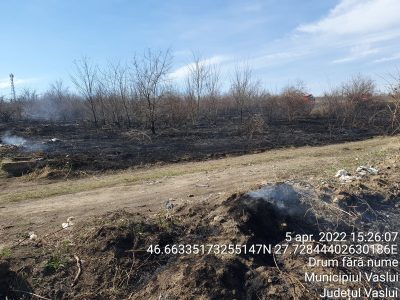 FOTO. Două amenzi, de 1500 lei fiecare, pentru incendiu de vegetație uscată în Vaslui, ZCH NEWS - sursa ta de informații