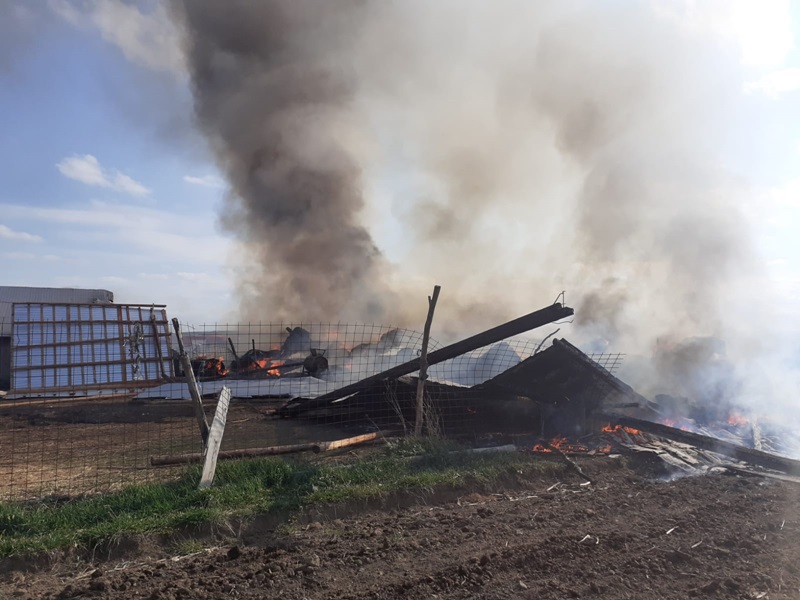 Foto. Incendiu în comuna Petricani. 60 de tone de plante furajere au ars, ZCH NEWS - sursa ta de informații