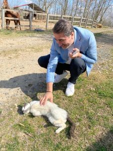Se schimbă modificarea: Adăpostul pentru animale va fi la Dragomireşti!, ZCH NEWS - sursa ta de informații