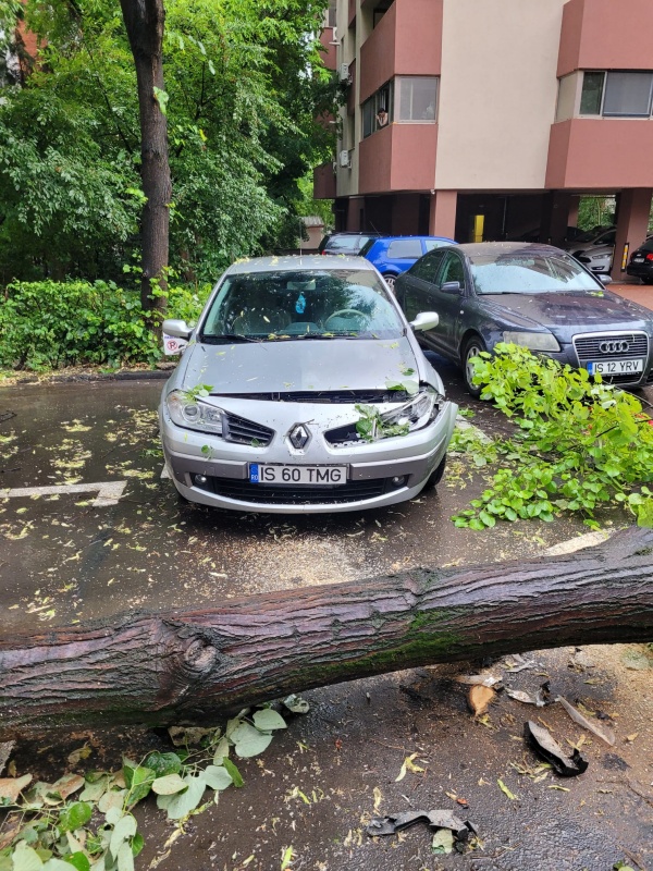 Furtună cu copaci căzuți peste mașini și cabluri electrice rupte!, ZCH NEWS - sursa ta de informații