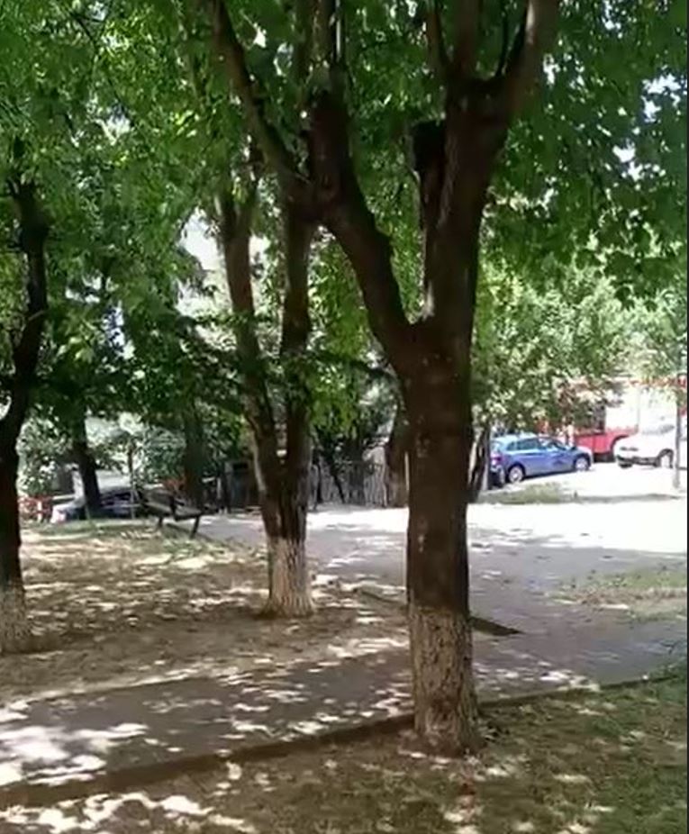 VIDEO. Incendiu în centrul Piatra-Neamț, aproape de festivitățile de Zilele Orașului