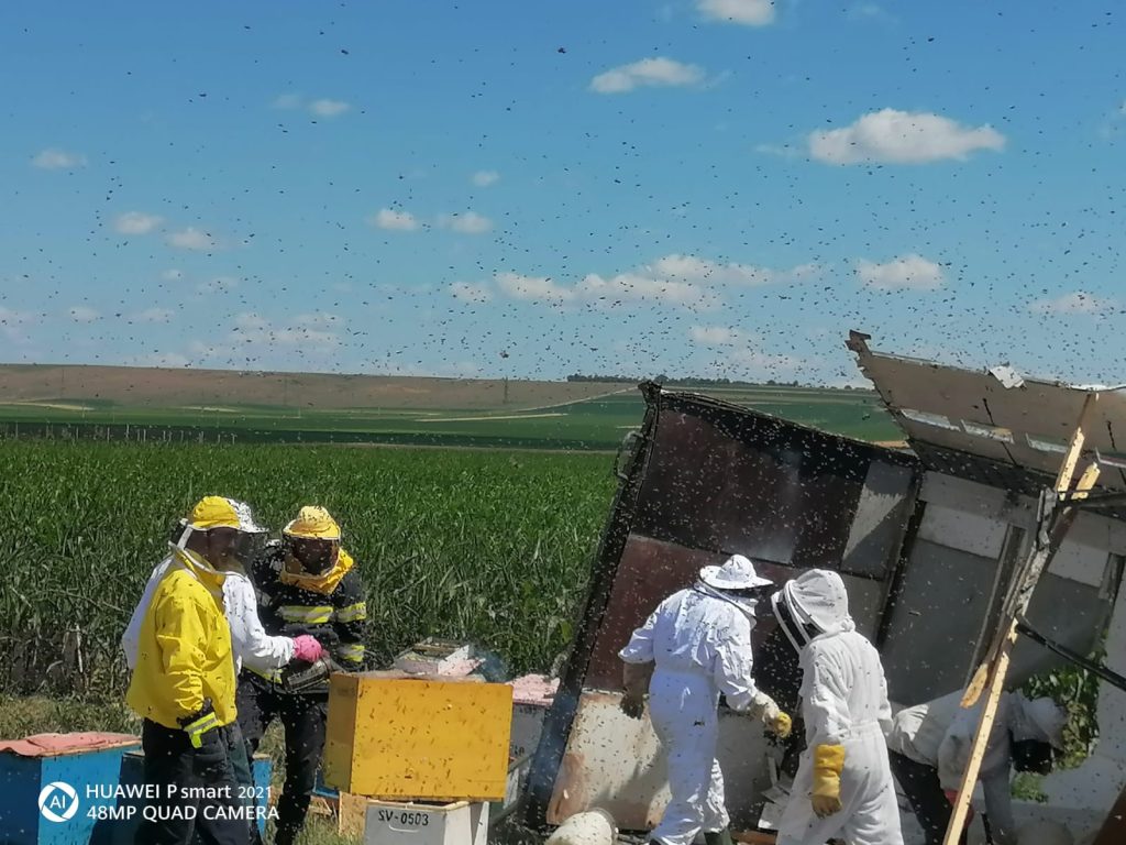 VIDEO. TIR cu 61 familii de albine răsturnat la Hanul Ancuței, primele victime și avertizare RO-ALERT, ZCH NEWS - sursa ta de informații