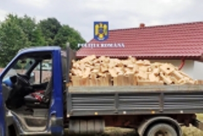 Un fir de nisip în deșert: amenzi de 3.000 de lei şi 3,5 mc lemn confiscat la Târgu-Neamţ, ZCH NEWS - sursa ta de informații