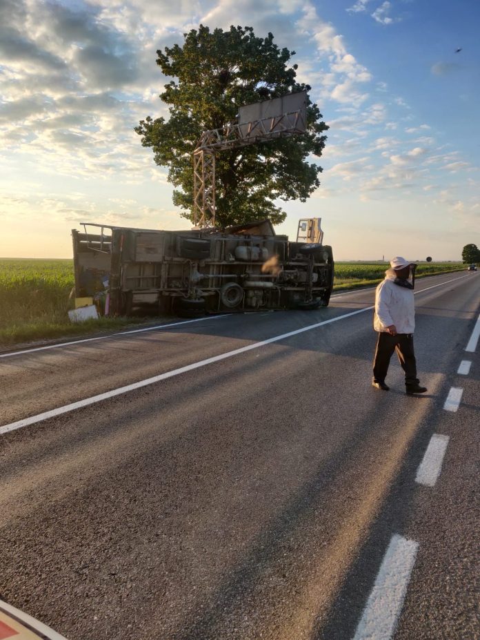 tir albine