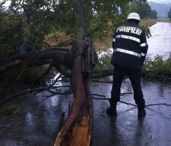 Efectele furtunii în Piatra-Neamț: copaci căzuţi peste firele de electricitate, ZCH NEWS - sursa ta de informații