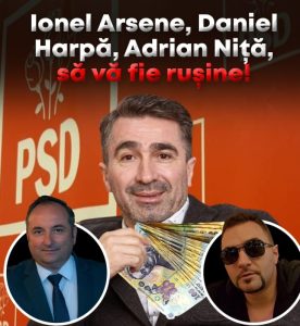 Comunicat de presă PNL Neamț: Ionel Arsene, Daniel Harpa, Adrian Niță, să vă fie rușine!, ZCH NEWS - sursa ta de informații