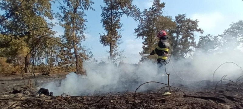 VIDEO. Intervenția pompierilor români la incendiile din Franța continuă, ZCH NEWS - sursa ta de informații