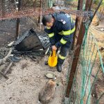Pompierii români intervin la Chapelle Saint Blaise, în Franţa, ZCH NEWS - sursa ta de informații