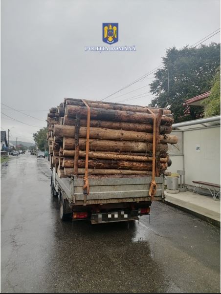 Târgu-Neamț: Acțiune tip “Scutul verde”: peste 20 mc lemn confiscați, amenzi și permis reținut!