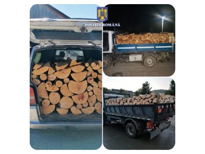 Târgu-Neamţ: Patru exemple de cum se fură lemnul din pădurile nemţene, ZCH NEWS - sursa ta de informații