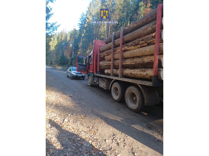 Valea Muntelui: Lemn de aproape 20.000 de lei și un TIR de 25.000 de euro confiscate într-o acțiune a poliției