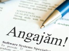Oportunități de angajare stabile în domeniul electric și construcții civile – București, Ilfov, Giurgiu