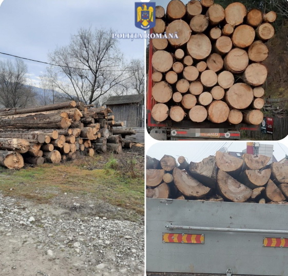 Nereguli cu lemn, amenzi și confiscări, ZCH NEWS - sursa ta de informații