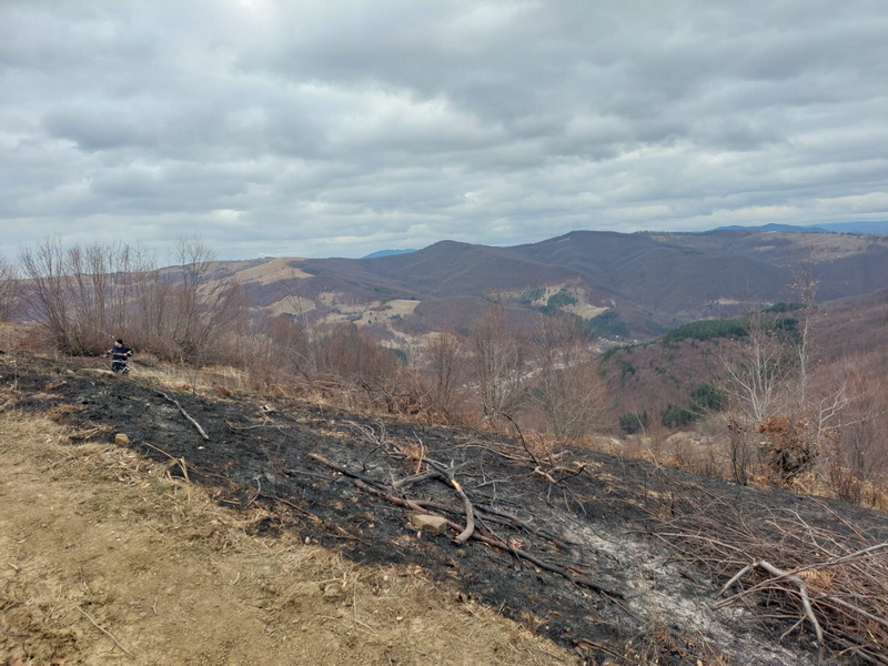 FOTO Intervenție dificilă a pompierilor, 6 hectare de litieră distruse de foc la Slănic Moldova, ZCH NEWS - sursa ta de informații