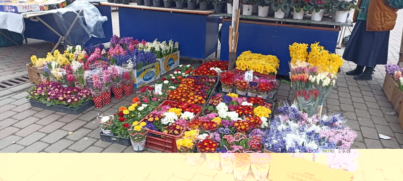 Piaţa florilor – preţuri şi tendinţe, ZCH NEWS - sursa ta de informații