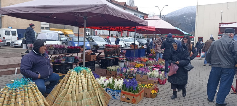 Piaţa florilor – preţuri şi tendinţe, ZCH NEWS - sursa ta de informații