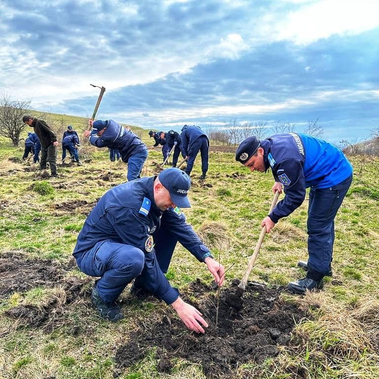 FOTO. Jandarmii nemțeni au plantat 173 de stejari, ZCH NEWS - sursa ta de informații