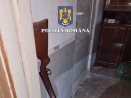 FOTO. Arme importate prin curierat, percheziții în Neamț