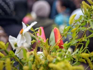 Pelerinaj de Florii în Sâmbăta lui Lazăr în parohii din Moldova, ZCH NEWS - sursa ta de informații