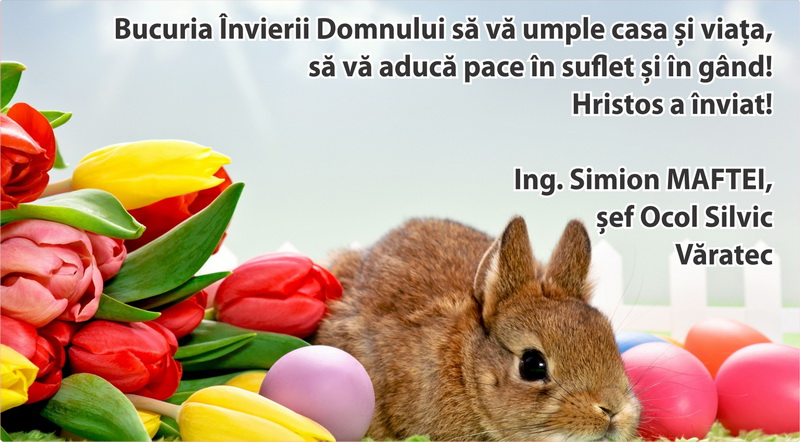 Silvicultorii nemțeni vă urează Paște fericit, ZCH NEWS - sursa ta de informații