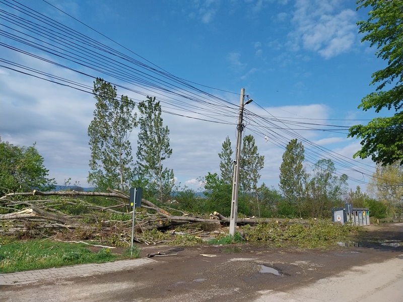 Târgu Neamț: Parcări auto în locul plopilor tăiați din zona digului de la intrarea în oraș, ZCH NEWS - sursa ta de informații