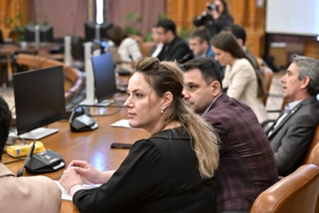 Mara Calista, deputat PNL: „Proiectele dedicate natalității sunt o prioritate a activității mele parlamentare”, ZCH NEWS - sursa ta de informații