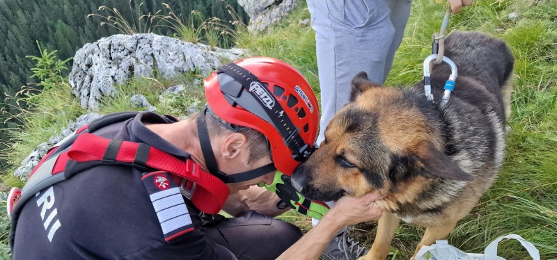 Foto. Misiune de salvare în munte pentru un câine , ZCH NEWS - sursa ta de informații