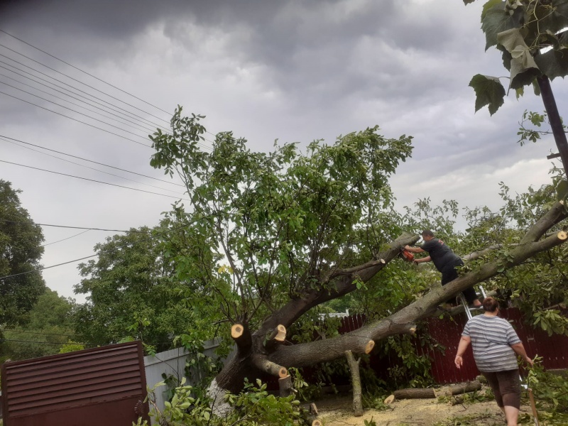Furtuni violente în Neamț. Peste 3.500 de persoane au rămas fără curent electric, ZCH NEWS - sursa ta de informații