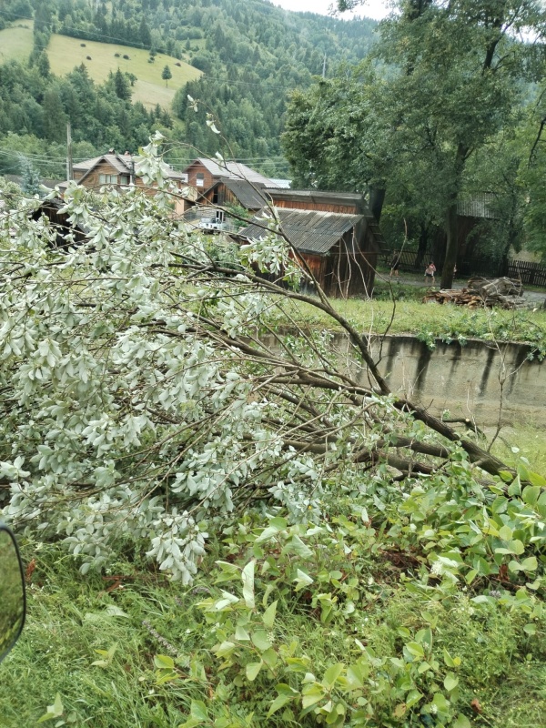 Știre actualizată. Neamț. Urmările furtunii: copaci căzuți în Piatra Neamț, acoperișuri smulse. 23.000 de persoane nu au electricitate, ZCH NEWS - sursa ta de informații