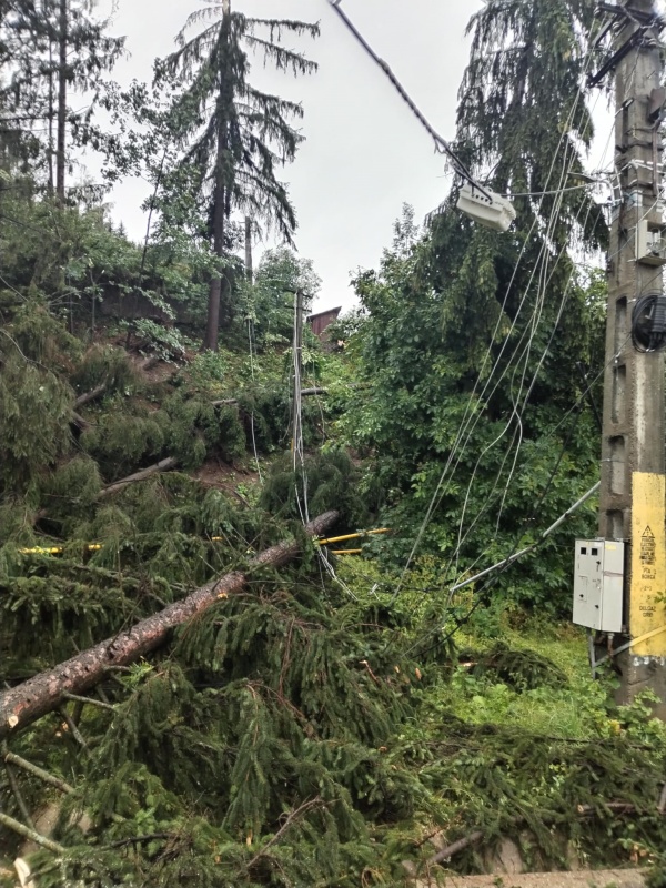 Știre actualizată. Neamț. Urmările furtunii: copaci căzuți în Piatra Neamț, acoperișuri smulse. 23.000 de persoane nu au electricitate, ZCH NEWS - sursa ta de informații