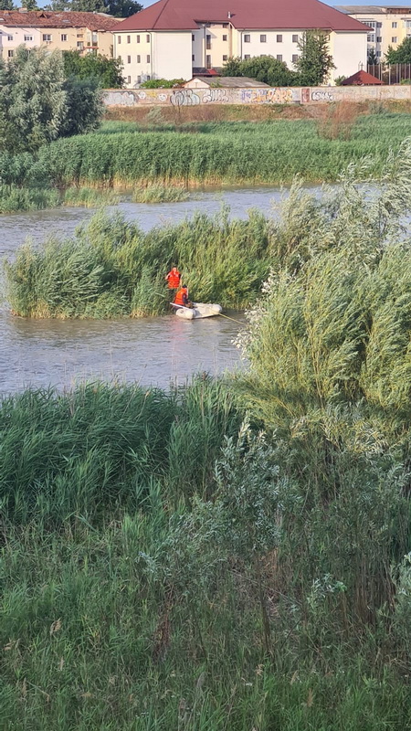 FOTO Cățel salvat din mijlocul râului Moldova, ZCH NEWS - sursa ta de informații