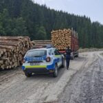 Operațiunea Jupiter. Peste 30 de percheziții în 8 dosare penale de Ziua Internațională a Mediului – descinderi în mai multe județe inclusiv în Neamț și Suceava