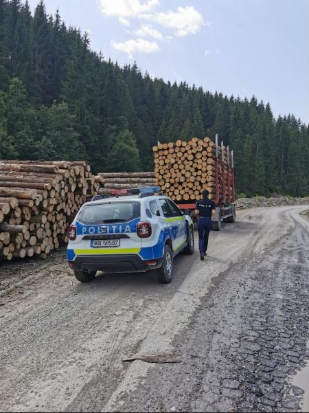 Firmă nemțeană amendată cu 15.000 de lei pentru „delicte silvice”
